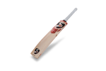 SG RR 9 English Cricket Bat
